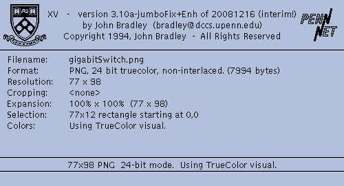 Displaying a png image of xv's Image Info dialog box after a reduced area is selected in the Gigabit network switch icon